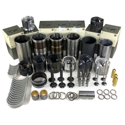 কেনা ৩১১৬ ৩১১৪ মোটর মেরামত পুনর্নির্মাণ কিট online manufacture